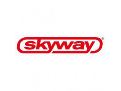 Лампа автомобильная Skyway Sj-1610ab 41mm