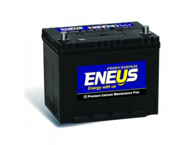 Аккумулятор 6ст - 60 (Eneus) Professional 21R-450 - оп